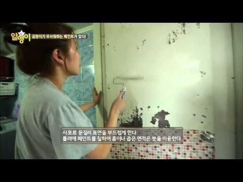 곰팡이도 무서워하는 페인트가 있다는데...?! [알맹이] 5회 20150818