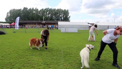 I'JERRY en démonstration d'obérythmée