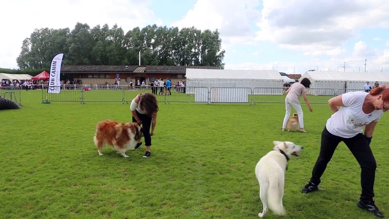 I'JERRY en démonstration d'obérythmée