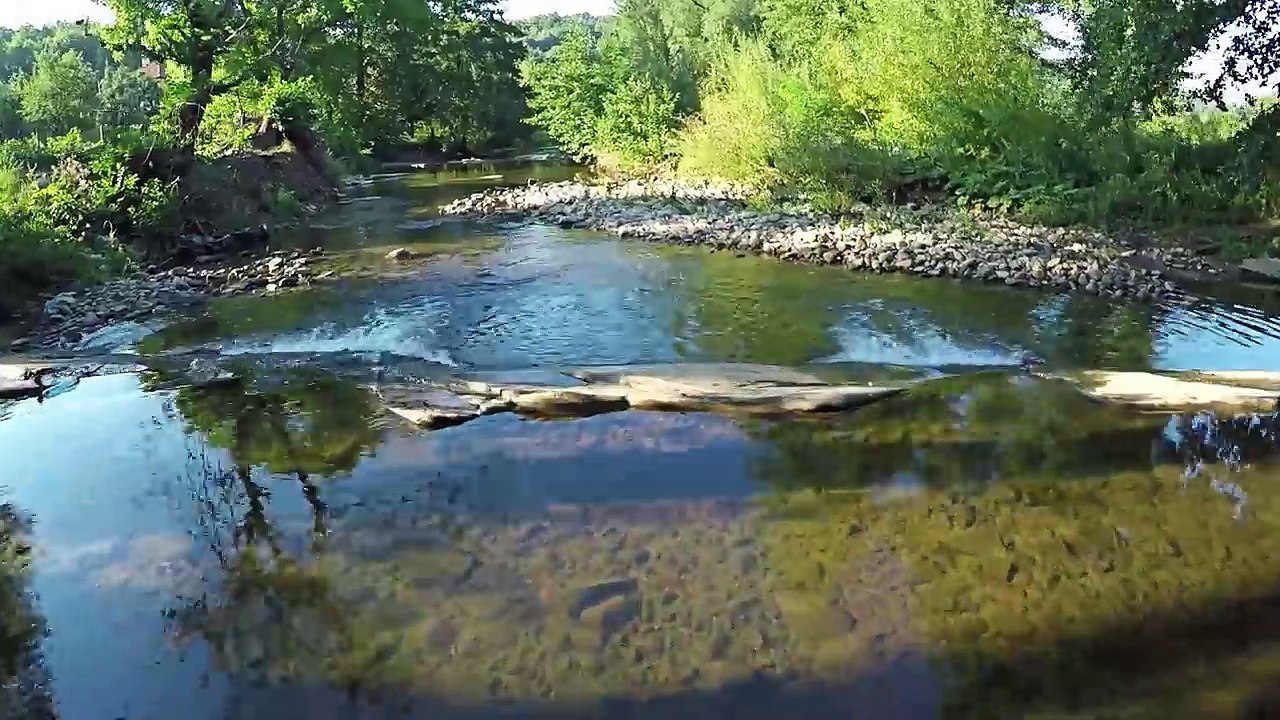 Wild Bulgaria