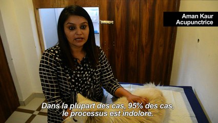 Une clinique de Delhi offre acupuncture et dialyse pour toutous