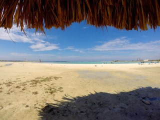 Praia - Baby Beach - Aruba