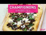 Champignons : 4 recettes faciles | regal.fr