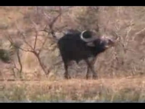 We Are The Ones We Have Been Waiting For