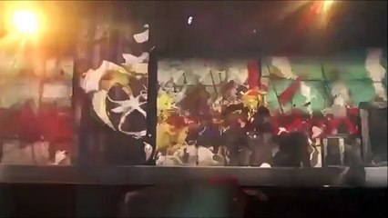 Anime cosplay one piece