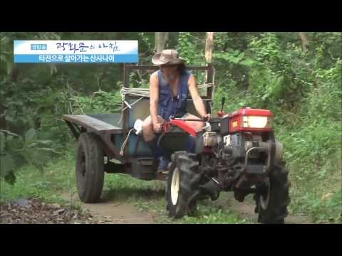 타잔으로 살아가는 사나이 [광화문의 아침] 49회 20150813