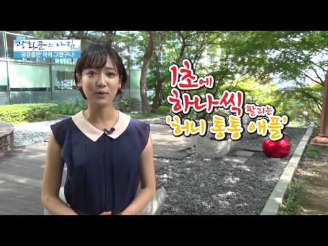 선풍적인 인기! 허니 통통 애플 [광화문의 아침] 47회 20150811