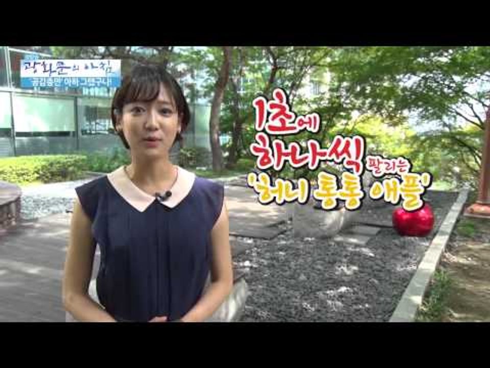 선풍적인 인기! 허니 통통 애플  [광화문의 아침] 47회 20150811