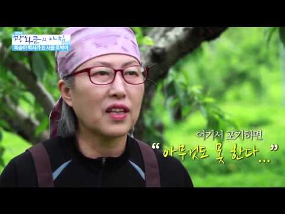 복숭아 박사가 된 서울토박이 [광화문의 아침] 48회 20150812