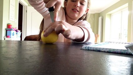 Lemon challenge 