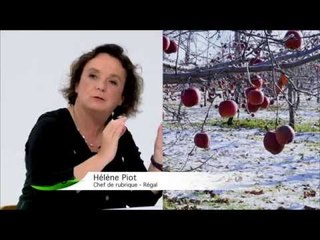 Campagne TV : Le cidre a tout bon avec Régal