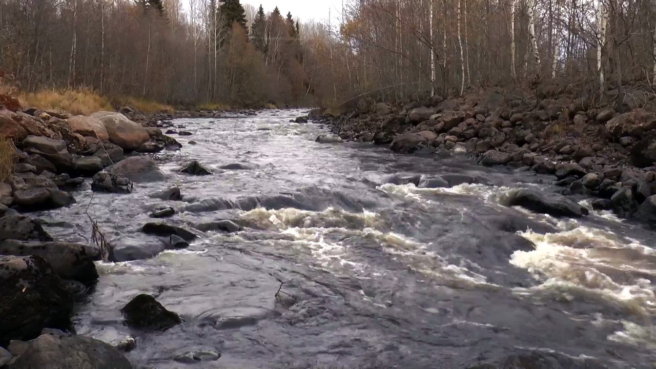 Small river creek