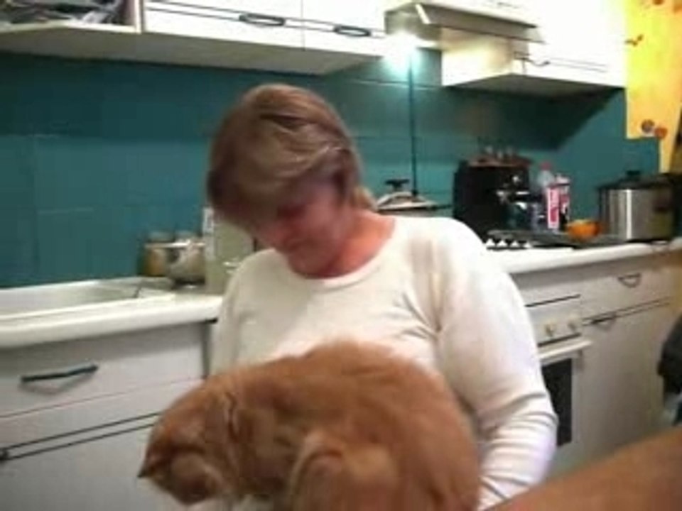 Les gros calins de minos