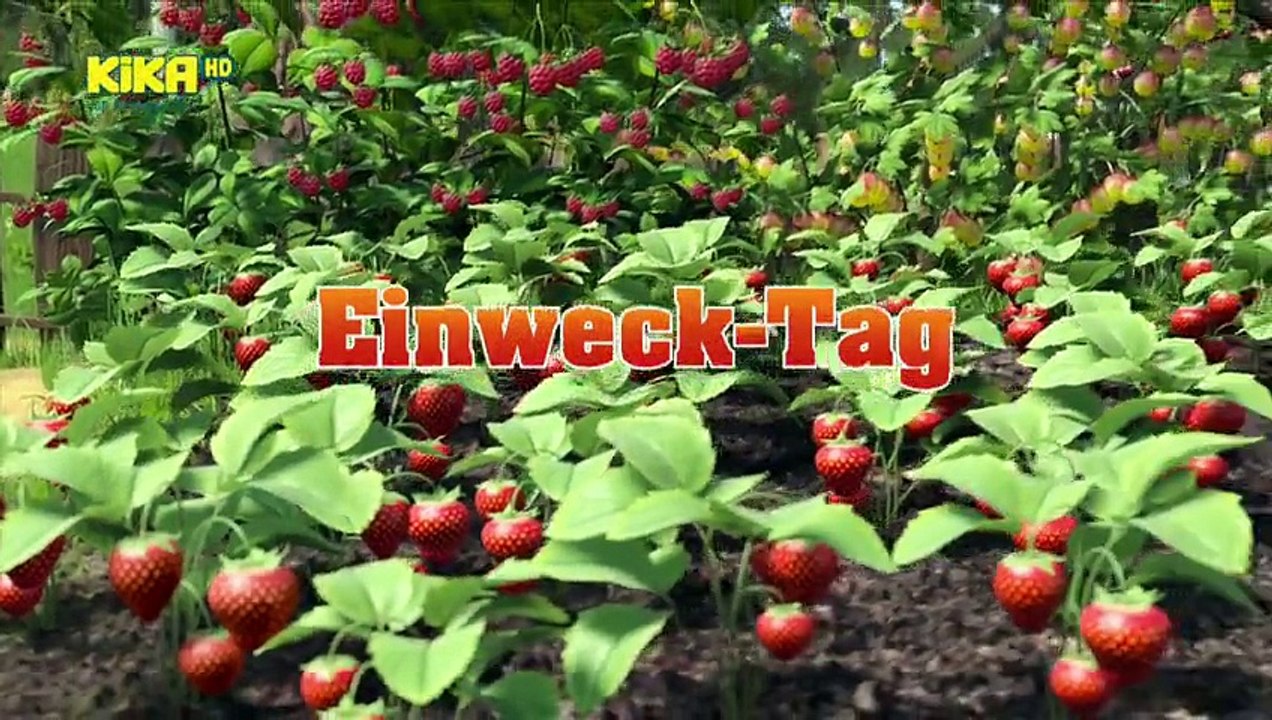 Mascha und der Bär - Einweck-Tag