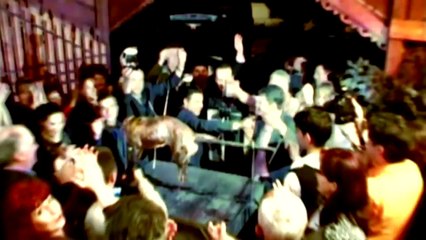 Nicu Paleru & Nicu Albu - Birtule mi-ai mancat banii