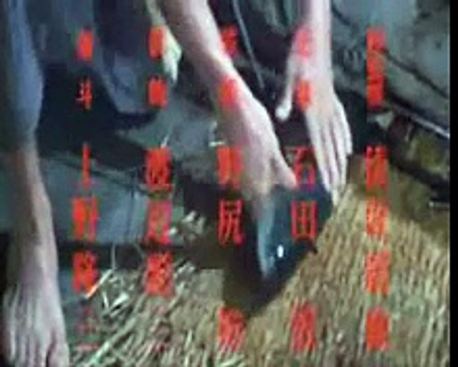 映画「忍者武芸帳　百地三太夫」　 op ed