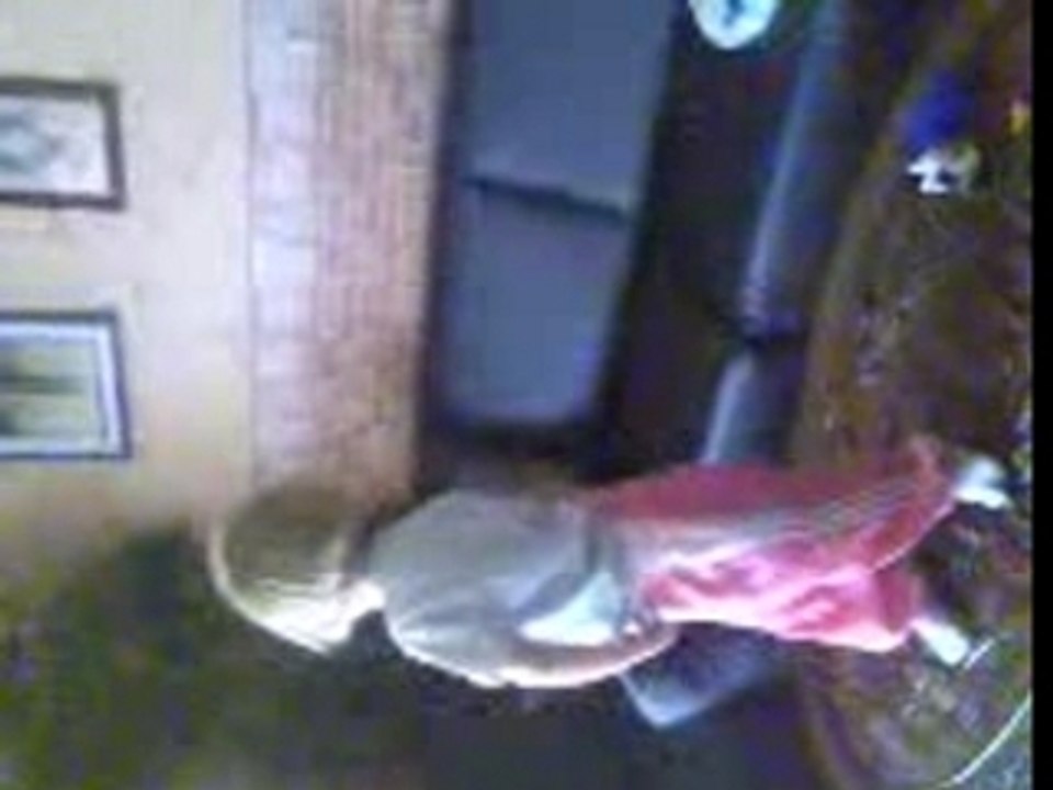Vidéo004