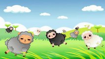 Baa Baa Black Sheep - Childrens Nursery Rhymes song by EFlashApps