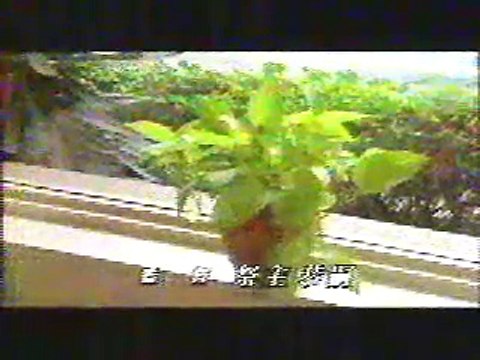 Zero Woman 最後の指令 小野沙織 Op Video Dailymotion