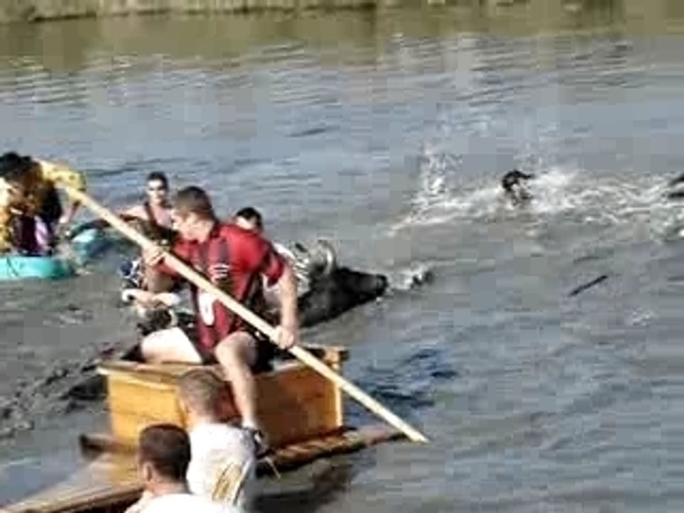 Gaze aigues mortes 2007