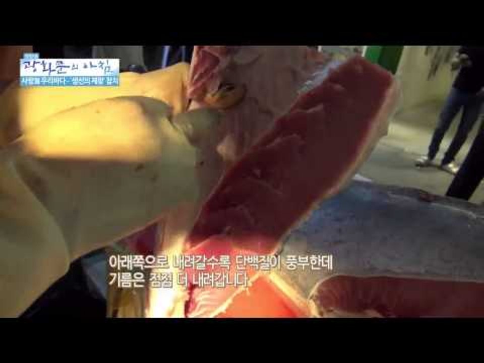 다양한 맛! '바다의 귀족' 참치  [광화문의 아침] 39회 20150730