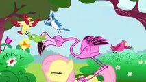 Meet Fluttershy  My Little Pony Friendship is Magic Character