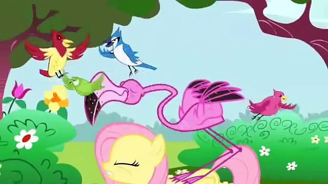 Meet Fluttershy My Little Pony Friendship is Magic Character