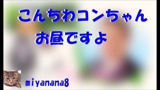 こんちわコンちゃんお昼ですよ　2016 10 26　水曜日 part 2/2