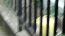 kitten No_1