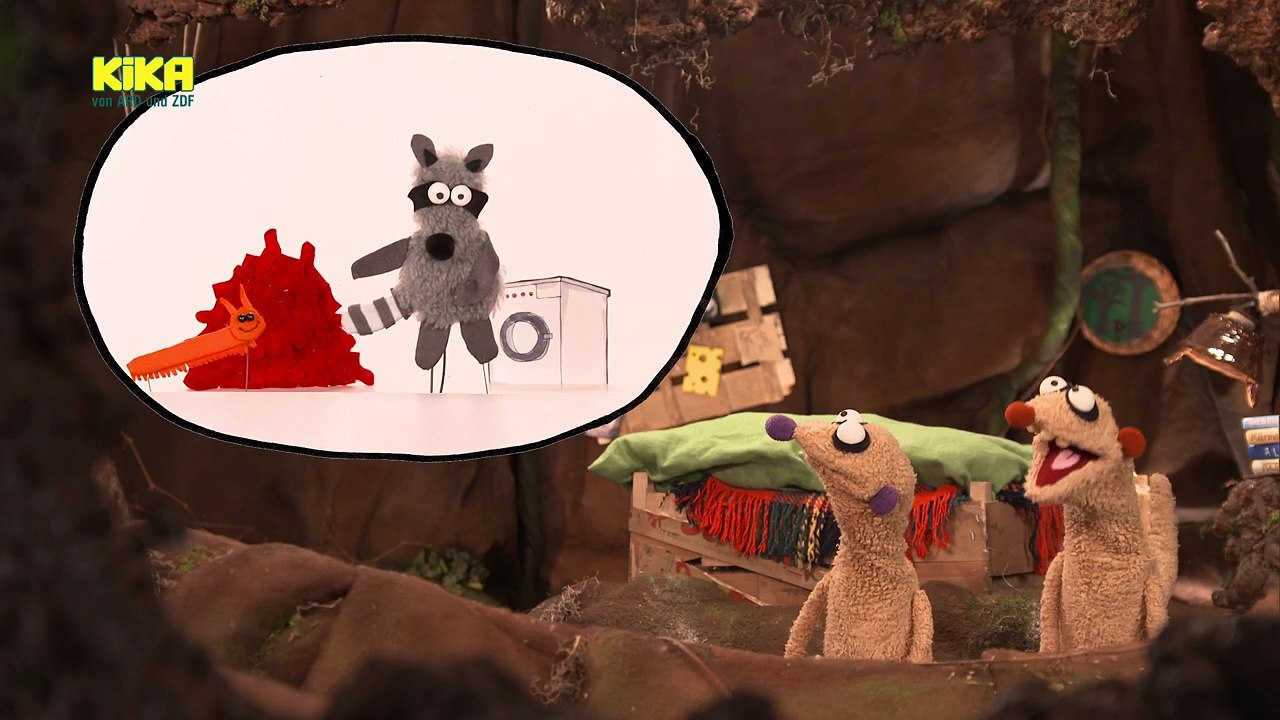 Jan & Henry - 35. Der Waschbär mit den 1000 Socken