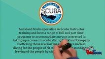 Find Best Scuba Diving Certification in NZ at Affordable Price