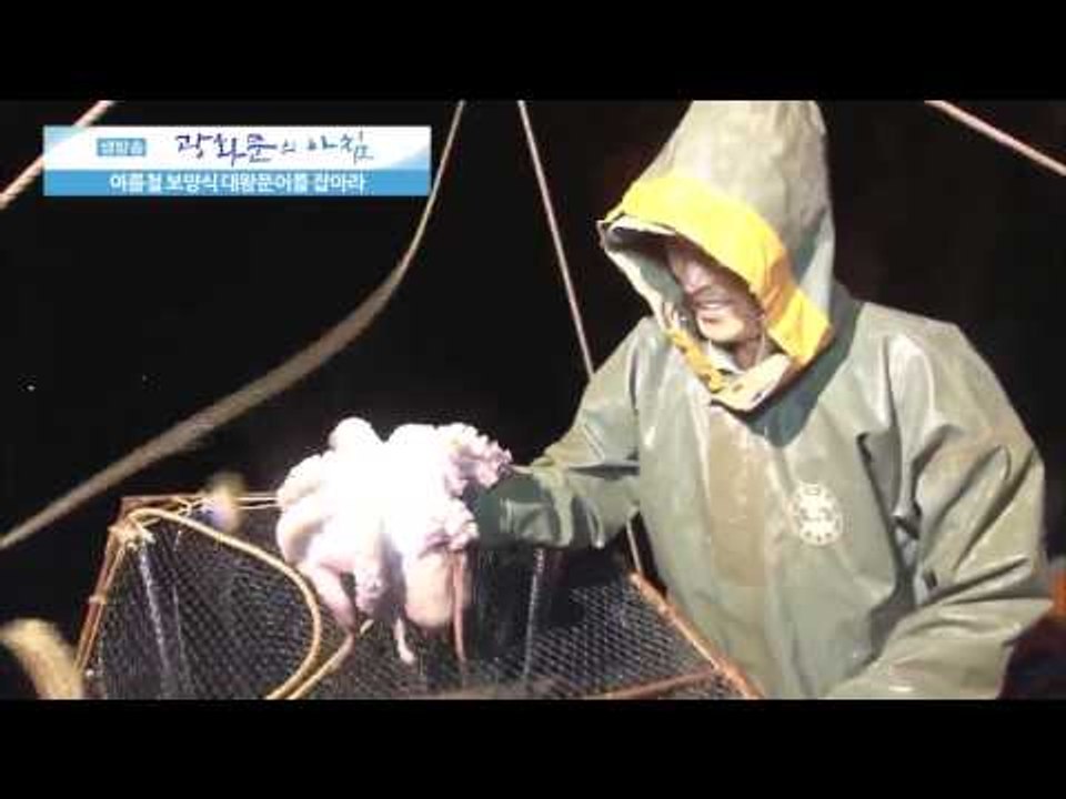 여름철 보양식 대왕문어  [광화문의 아침] 34회 20150723