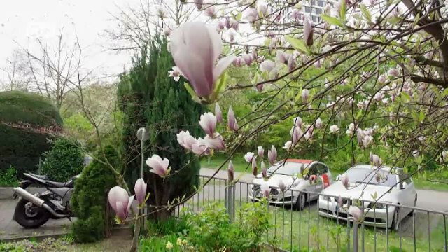 Citizen science fights air pollution | DW English
