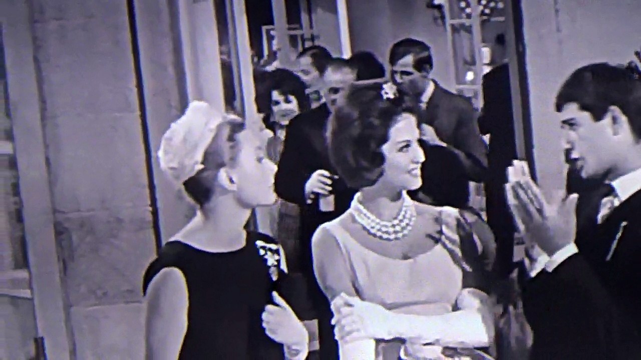 Les lions sont lâchés