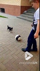 Il fait un foot avec son petit chien