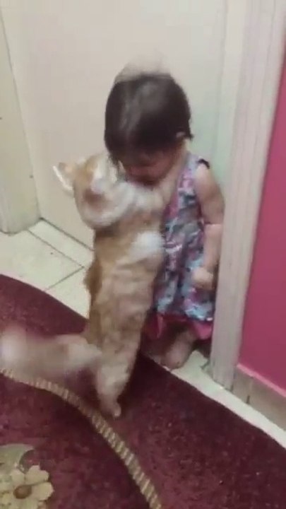 Cats and babies cuddling – Cute cat and baby compilation 2017