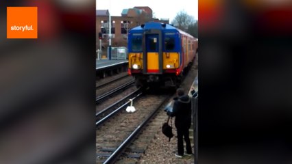 Lazy Swan Takes Stroll in Front of Train