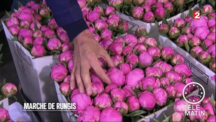 Jardin - En duplex de Rungis