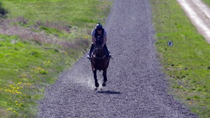 有賀拓郎　Sports on my life 20