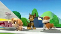 PAW Patrol Cartoon Pup Pup Boogie Pups in a Fog Part 5