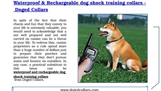 Waterproof Rechargeable Dog Shock Training Collars Doged Collars