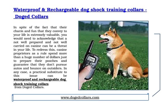 Waterproof & Rechargeable dog shock training collars - Doged Collars