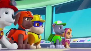 PAW Patrol Pups Save a Sniffle Clip #3