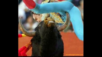 Funny Pranks - Funny Videos - Funny Vines - Funny Fails - Funny Pranks 2015