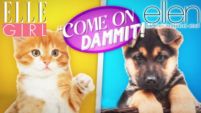 Allez ou Bon Sang selon Ellen ? avec des vidéos mignonnes | The Ellen DeGeneres Show | Du Lundi à Vendredi à 20h10 | Talk Show