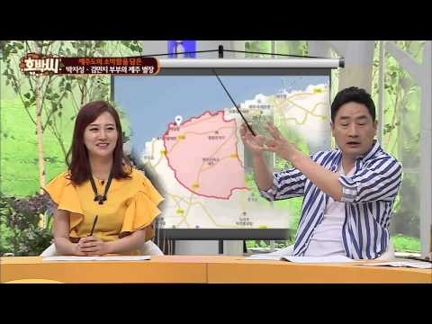 강용석의 애월 브리핑, 애월이 뜨는 이유는? [호박씨] 8회 20150721