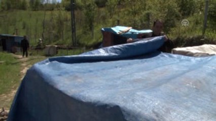 Hastalığında Tanıştığı Solucan Gübresi Geçim Kapısı Oldu - Zonguldak