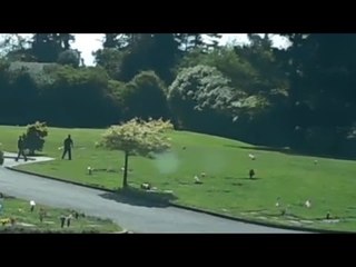 Video Appears to Show Workers Golfing Inside Northern California Cemetery