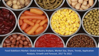 Global Food Stabilizers Market Trends, Growth and Forecasts (2017 - 2022)