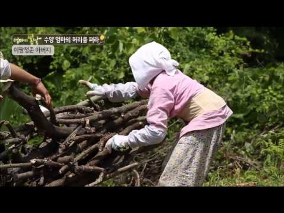 봄날지기의 신 박사는 천하장사? [엄마의 봄날] 7회 20150718